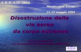 Disostruzione delle vie aeree da corpo estraneo Laura Favretto, RN Co-responsabile attività didattica PediN.O.E. A.R.D.A.O. 2004 Montecatini Terme 21-22
