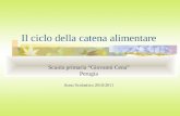 Il ciclo della catena alimentare Scuola primaria Giovanni Cena Perugia Anno Scolastico 2010/2011.