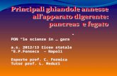PON le scienze in … gara a.s. 2012/13 Liceo statale E.P.Fonseca – Napoli Esperto prof. C. Formica Tutor prof. L. Meduri.