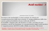 Acidi nucleici - 3 presentazione del prof. Ciro Formica Struttura dei nucleotidi; Le basi azotate; Il criterio di complementarietà delle basi azotate;