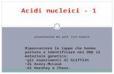 Acidi nucleici - 1 presentazione del prof. Ciro Formica Ripercorrere le tappe che hanno portato a identificare nel DNA il materiale genetico; gli esperimenti.