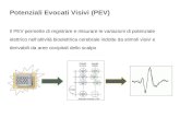 Il PEV permette di registrare e misurare le variazioni di potenziale elettrico nellattività bioelettrica cerebrale indotte da stimoli visivi e derivabili.