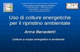 Uso di colture energetiche per il ripristino ambientale Anna Benedetti Consiglio per la Ricerca e la Sperimentazione in Agricoltura Istituto Sperimentale.