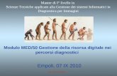 Modulo MED/50 Gestione della risorsa digitale nei percorsi diagnostici Empoli, 07 IX 2010 Ing. Flavio Flamini Master di I° livello in Scienze Tecniche.