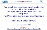 15/01/131 anno formativo 2013 DOCENTI: Marina Cappugi e Antonietta Pandolfo Corso di formazione regionale per la certificazione delle competenze infermieristiche.