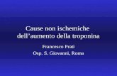 Cause non ischemiche dellaumento della troponina Francesco Prati Osp. S. Giovanni, Roma.