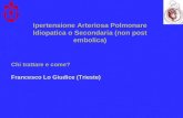 Ipertensione Arteriosa Polmonare Idiopatica o Secondaria (non post embolica) Chi trattare e come? Francesco Lo Giudice (Trieste)