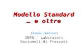Modello Standard … e oltre Danilo Babusci INFN - Laboratori Nazionali di Frascati.