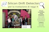 Silicon Drift Detector per la rivelazione di raggi X Stagisti: Corinne Cinelli Chiara Gargiulo Giorgia Leoncini Edoardo Mazzucchi M Cristina Raspone Stefania.