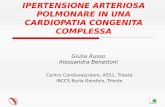 IPERTENSIONE ARTERIOSA POLMONARE IN UNA CARDIOPATIA CONGENITA COMPLESSA Giulia Russo Alessandra Benettoni Centro Cardiovascolare, ASS1, Trieste IRCCS Burlo.