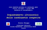 Inquadramento ultrasonico delle cardiopatie congenite Enrico Chiappa Cardiologia Pediatrica Azienda Ospedaliero – Universitaria MEYER Firenze XXXIX CONGRESSO.