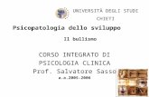 Psicopatologia dello sviluppo CORSO INTEGRATO DI PSICOLOGIA CLINICA Prof. Salvatore Sasso a.a.2005-2006 UNIVERSITÀ DEGLI STUDI CHIETI Il bullismo.