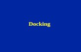 Docking. Il problema del docking molecolare Date due molecole di cui sono note le geometrie 3D il docking si pone di rispondere a: Le due molecole si.