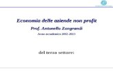 Economia delle aziende non profit Prof. Antonello Zangrandi Anno accademico 2002-2013 del terzo settore: