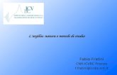 Largilla: natura e metodi di studio Fabio Fratini CNR-ICVBC Firenze f.fratini@icvbc.cnr.it.