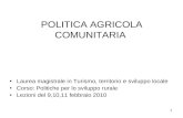 1 POLITICA AGRICOLA COMUNITARIA Laurea magistrale in Turismo, territorio e sviluppo locale Corso: Politiche per lo sviluppo rurale Lezioni del 9,10,11.