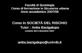 Facoltà di Sociologia Corso di formazione in Sicurezza urbana Anno accademico 2007/08 Corso in SOCIETÀ DEL RISCHIO Tutor : Anita Bacigalupo Lezione del.