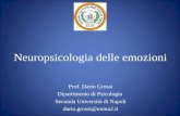 Neuropsicologia delle emozioni Prof. Dario Grossi Dipartimento di Psicologia Seconda Università di Napoli dario.grossi@unina2.it.
