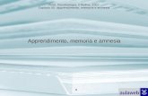 Pinel, Psicobiologia, Il Mulino, 2007 Capitolo XII. Apprendimento, memoria e amnesia 1 Apprendimento, memoria e amnesia.