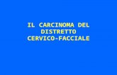 IL CARCINOMA DEL DISTRETTO CERVICO-FACCIALE. Razionale della chemio-radioterapia nel carcinoma testa collo localmente avanzato (stadio III/ IV) Prof.