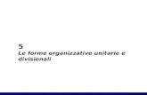 TESTO DI RIFERIMENTO - Organizzazione aziendale. Mercati, gerarchie e convenzioni - G. Costa, P. Gubitta ed. McGraw-Hill 5 Le forme organizzative unitarie.