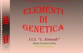 1 Istituto di istruzione superiore l. einaudi I.I.S. L. Einaudi Badia Polesine (RO) Prof. Daniele Borghi.