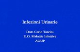 Infezioni Urinarie Dott. Carlo Tascini U.O. Malattie Infettive AOUP
