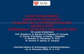 Linee Guida Italiane Impianto di Pacemaker Dispositivi per la Resincronizzazione cardiaca (CRT) Defibrillatori automatici impiantabili (ICD) M. Lunati.