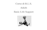 Corso di B.L.S. Adulti Basic Life Support. Lezioni Addestramento Valutazione finale Teoriche pratico su manichino con skill test e quiz a risposta multipla.