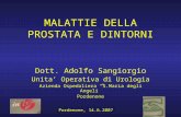 MALATTIE DELLA PROSTATA E DINTORNI Dott. Adolfo Sangiorgio Unita Operativa di Urologia Azienda Ospedaliera S.Maria degli Angeli Pordenone Pordenone, 14.6.2007.