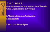 1 A.S.L. RM E Polo Ospedaliero Santo Spirito Villa Betania Unità Organizzativa di Urologia LIncontinenza Urinaria Femminile Dott. Luciano Spro.
