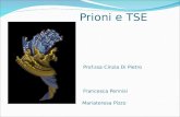 Prioni e TSE Prof.ssa Cinzia Di Pietro Francesca Pennisi Mariateresa Pizzo.