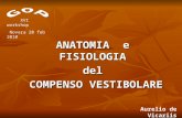 ANATOMIA e FISIOLOGIA del COMPENSO VESTIBOLARE Aurelio de Vicariis XVI workshop Novara 20 feb 2010.