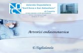 1 Artrorisi endosenotarsica Artrorisi endosenotarsica E.Taglialatela U.O.C. Ortotraumatologia Direttore: P. Greco.