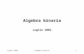 Luglio 2002Algebra binaria1 Luglio 2002. Algebra binaria2 RAPPRESENTAZIONE DEI NUMERI NEI SISTEMI DI ELABORAZIONE Nel calcolo manuale le grandezze numeriche.