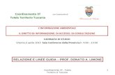 RELAZIONE E LINEE GUIDA – PROF. DONATO A. LIMONE 1Coordinamento 3T - Tutela Territorio di Tuscania