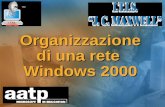 Organizzazione di una rete Windows 2000. Server Client Il ruolo dei computer I computer in una rete possono svolgere le funzioni di client e server dei.