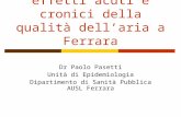 Alcuni studi geografici sugli effetti acuti e cronici della qualità dellaria a Ferrara Dr Paolo Pasetti Unità di Epidemiologia Dipartimento di Sanità Pubblica.