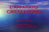 LAPPARATO CIRCOLATORIO Lavoro a cura di Regina Tatiana classe III A a. s. 2007/08 classe III A a. s. 2007/08.