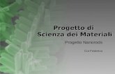 Progetto di Scienza dei Materiali Progetto Nanorods Coi Federico.