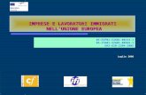 Luglio 2006 IMPRESE E LAVORATORI IMMIGRATI NELLUNIONE EUROPEA 05-ESP01-S2G01-00154-1 05-ITA01-S2G01-00265-1 GR2-620-2304-2005.