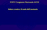 XXIV Congresso Nazionale ACOI Dolore cronico: Il ruolo dellanatomia.