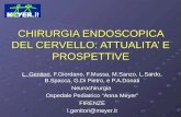 CHIRURGIA ENDOSCOPICA DEL CERVELLO: ATTUALITA E PROSPETTIVE L. Genitori, F.Giordano, F.Mussa, M.Sanzo, L.Sardo, B.Spacca, G.Di Pietro, e P.A.Donati Neurochirurgia.