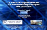 La curva di apprendimento nel trattamento laparoscopico dei laparoceli Micaela Piccoli Divisione di Chirurgia Generale (Primario: Prof. Gianluigi Melotti)