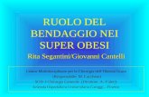 RUOLO DEL BENDAGGIO NEI SUPER OBESI Rita Segantini/Giovanni Cantelli Centro Multidisciplinare per la Chirurgia dellObesità Grave (Responsabile: M. Lucchese)
