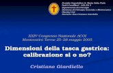 XXIV Congresso Nazionale ACOI Montecatini Terme 25–28 maggio 2005 Dimensioni della tasca gastrica: calibrazione si o no? Cristiano Giardiello Presidio.
