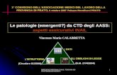 DIREZIONE REGIONALE INAIL TOSCANA SOVRINTENDENZA MEDICA 1 Le patologie (emergenti?) da CTD degli AASS: aspetti assicurativi INAIL Vincenzo Maria CALABRETTA.