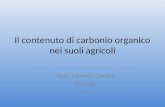 Il contenuto di carbonio organico nei suoli agricoli Dott. Lorenzo Gardin Firenze.