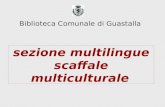 Sezione multilingue scaffale multiculturale Biblioteca Comunale di Guastalla.