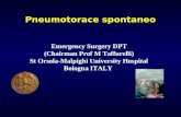 Pneumotorace spontaneo Emergency Surgery DPT (Chairman Prof M Taffurelli) St Orsola-Malpighi University Hospital Bologna ITALY.